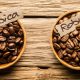 blog | difference-between-arabica-and-robusta-coffee